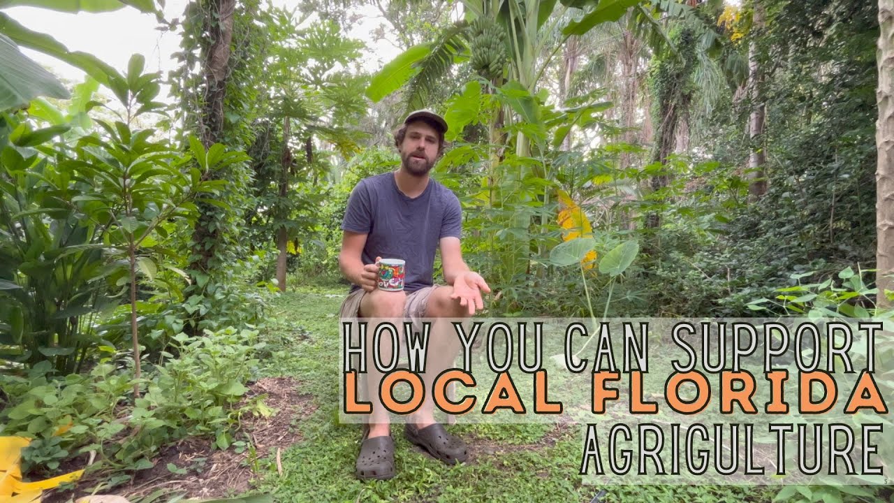 Cody Cove Farm Patreon Proposal - Support Florida Specific Sustainable Agriculture Content