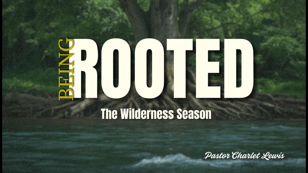 Being Rooted - The Wilderness Season