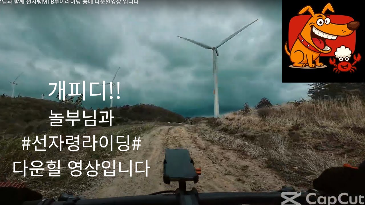 개피디!! 놀부님과 함께 선자령MTB투어라이딩 중에 다운힐영상 입니다