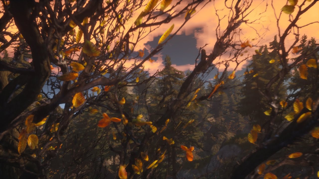Relax in nature (UE5 animation)