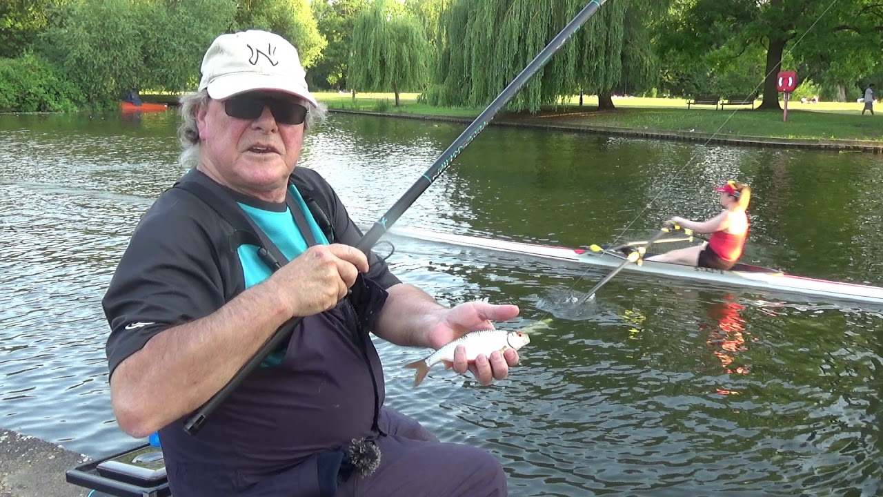 EASY FISHING A short river session on a beautiful evening catching loads of roach!