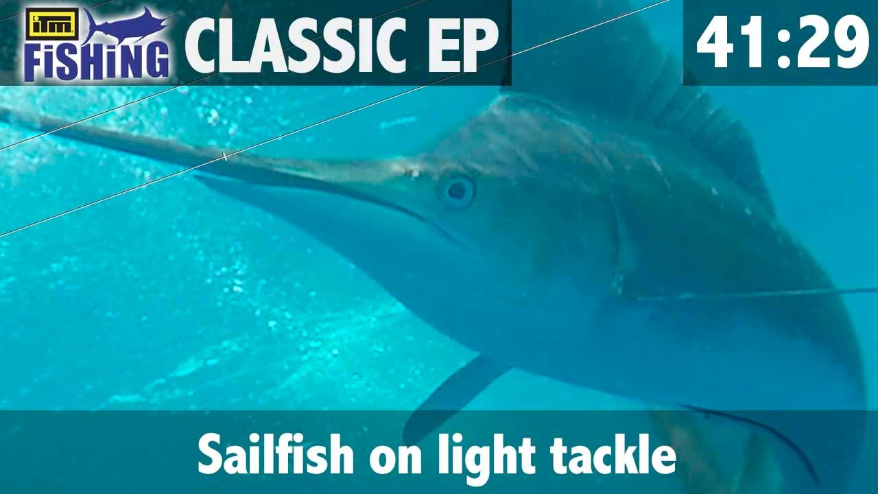 Sailfish on light tackle
