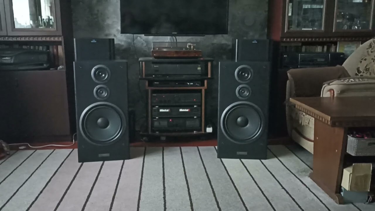 Акустическая система Pioneer CS-9030 1995 год