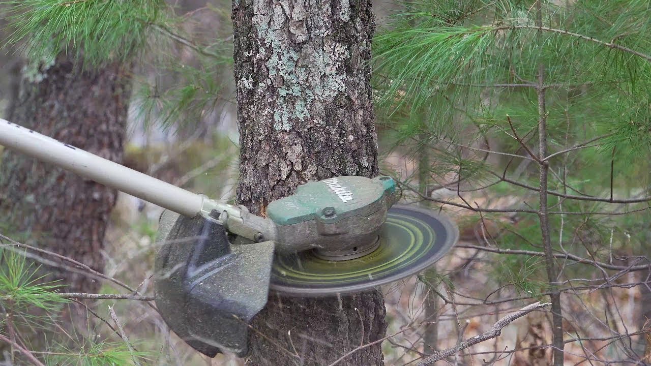 Forester Chainsaw Tooth Brush Cutter Blade