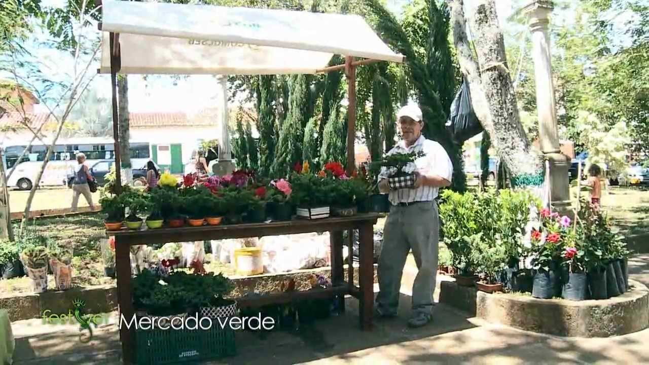 MEMORIAS FESTIVER 2012