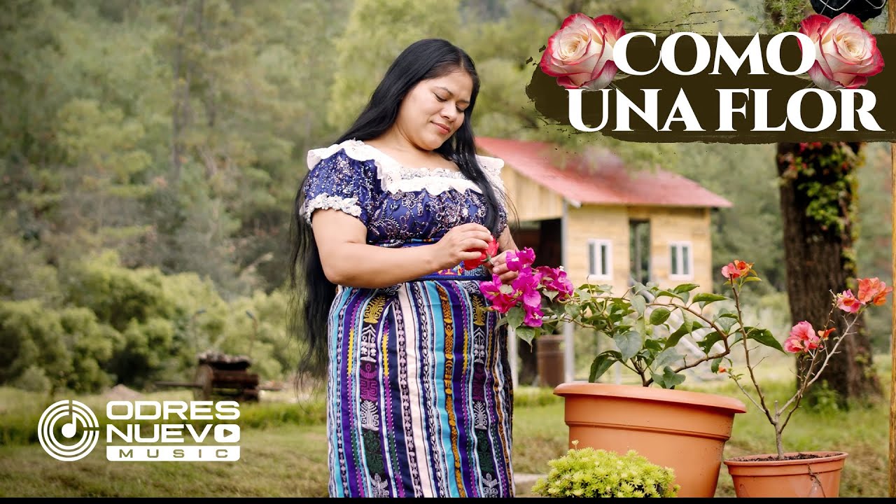 Solista Dominga Perez Como Una Flor Musica Cristiana 