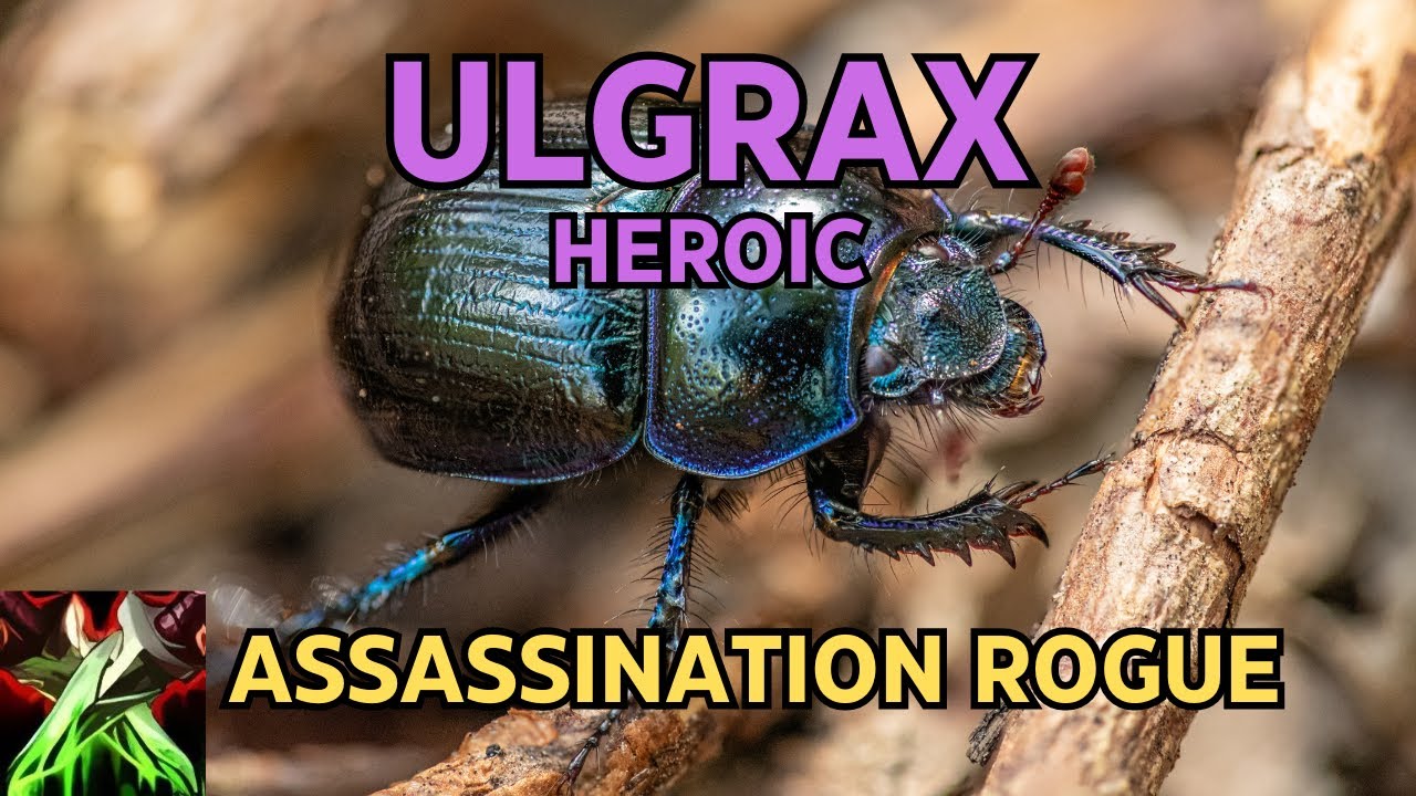 Ulgrax Heroic | Assassination Rogue