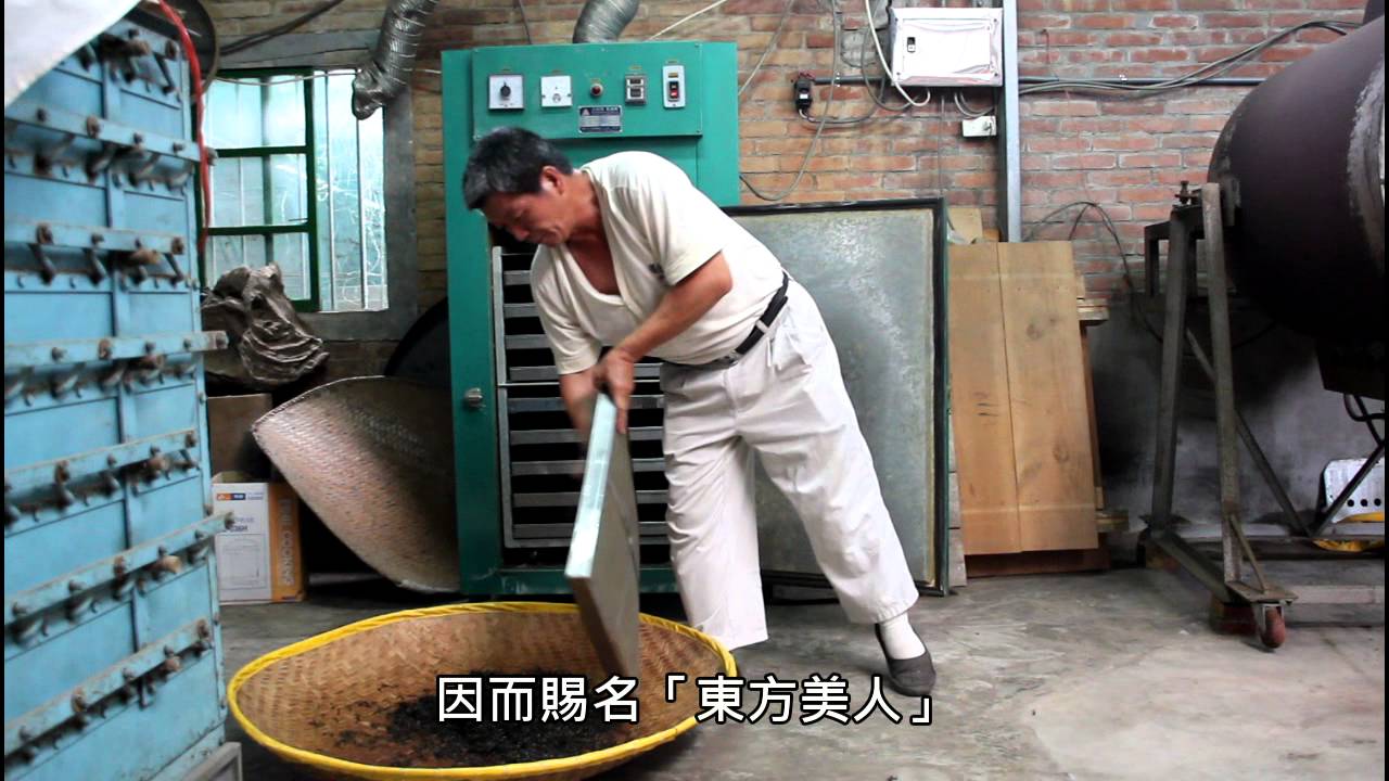 【山風好味道】〈美人茶飄香〉峨眉東方美人茶影片典藏