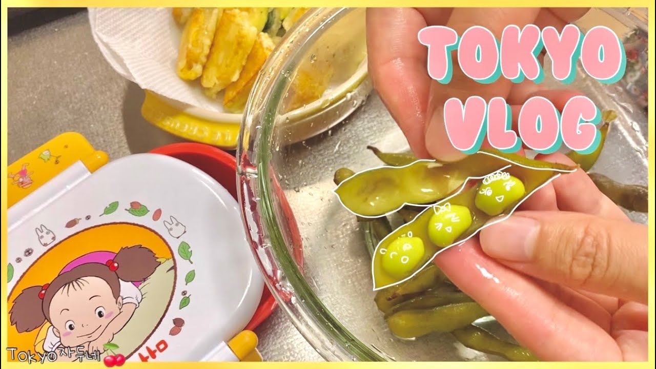 🍒풋콩 오니기리 도시락🍙 따루네가 놀러왔어요🌱공포의 보드게임🎲세숫대야 우동🍜아빠의 날👦🏻