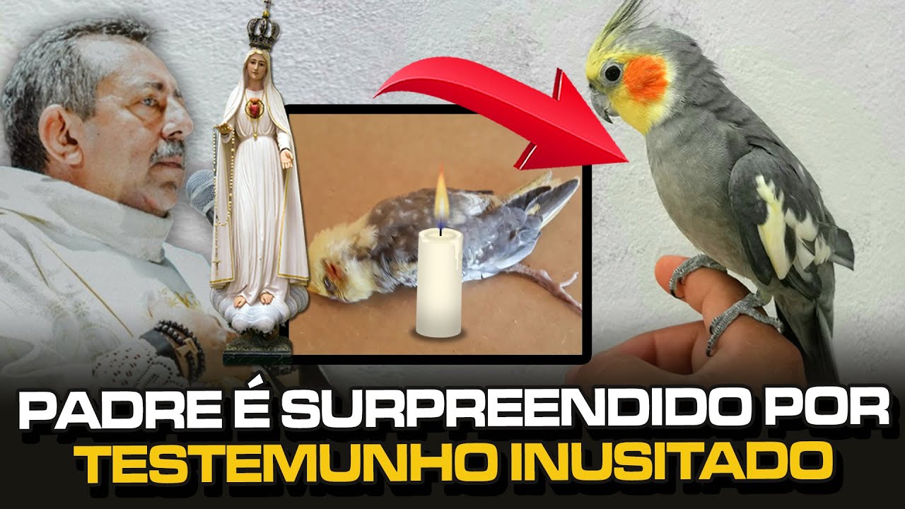 PADRE É SURPREENDIDO POR TESTEMUNHO DE CALOPSITA, VEJAM QUE INUSITADO!