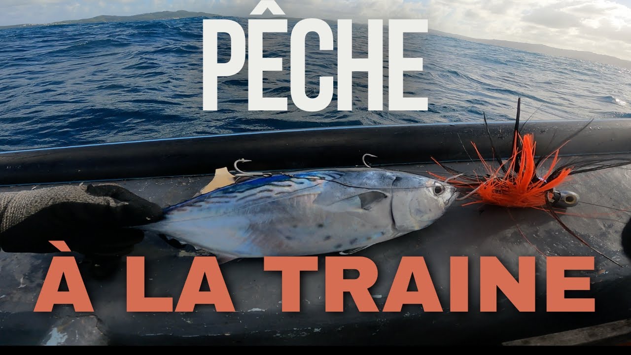 Pêche à la traine en Martinique - Gros appâts