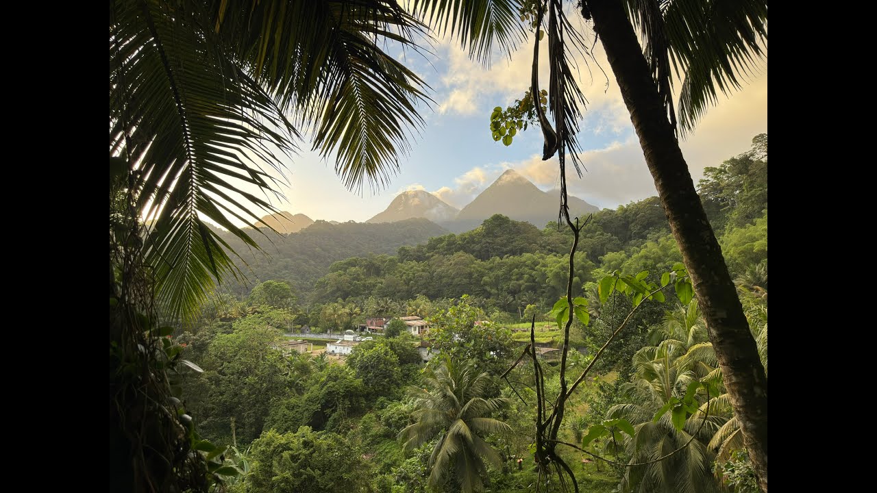 MARTINIQUE ISLAND 2025 #travel #vacation #hiking