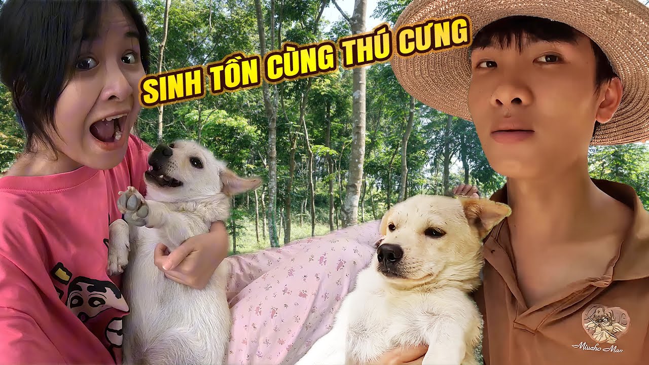 Sinh Tồn C&ugrave;ng Với Th&uacute; Cưng Phần 1 - N&ocirc;ng Trại - Trần Vy Vy Tập 118