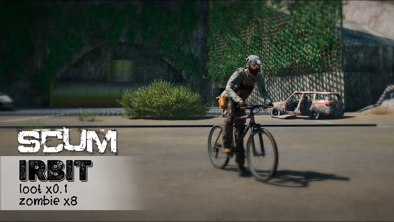 SCUM - IRBIT - D4