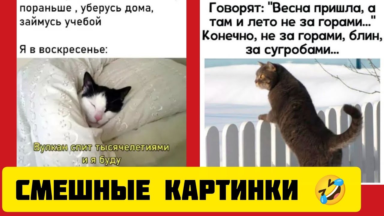 Говорят: 