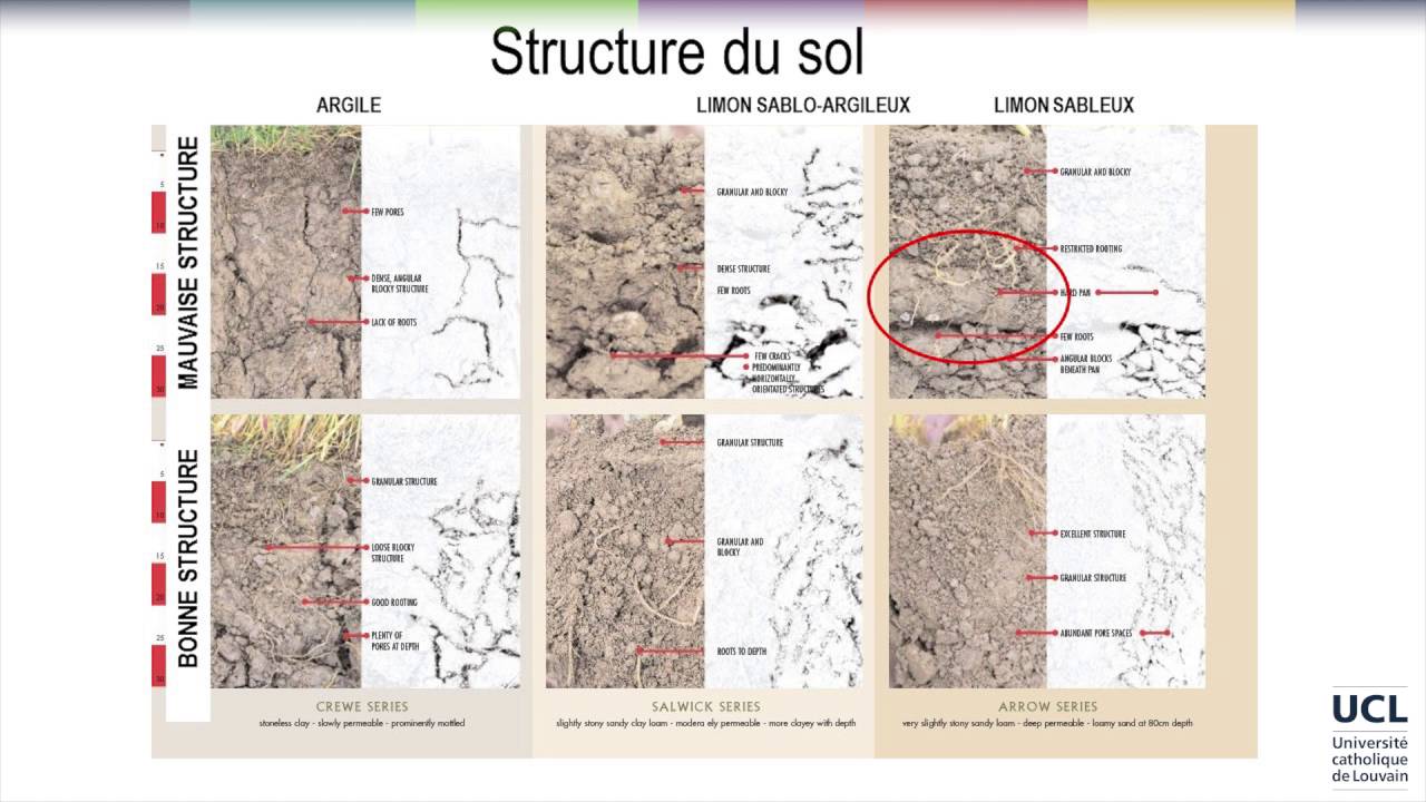 7 Organisation de la phase solide du sol