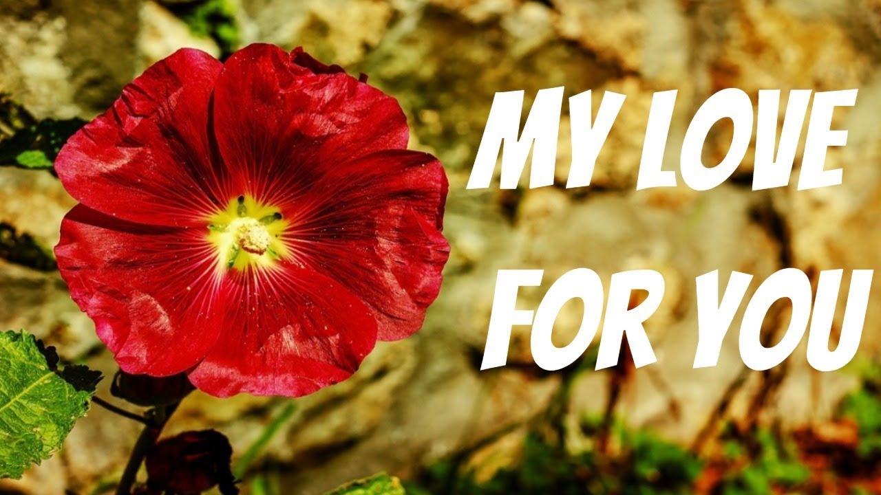 My love for you....My love is truly pure,