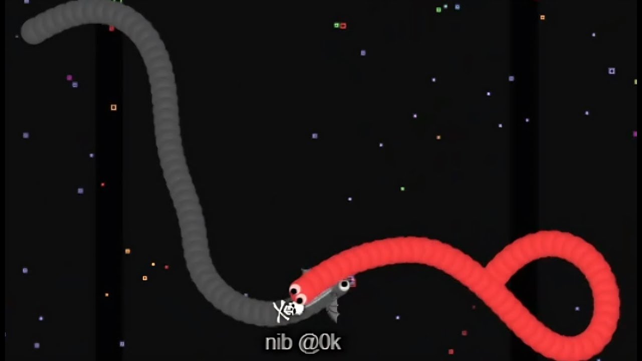 Solo Slither - No Limitations (Highlights)