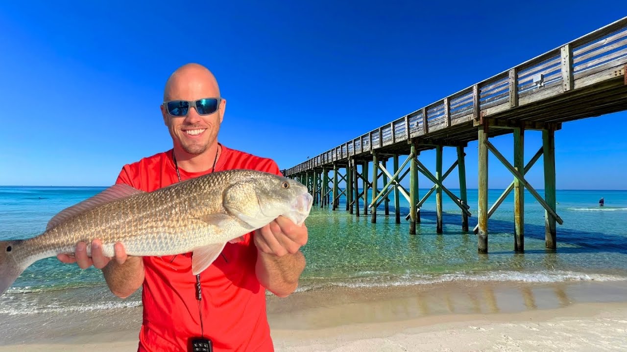 Fishing Florida's Bays and Piers Eating Everything We Catch! (feat. Zach Fowler)