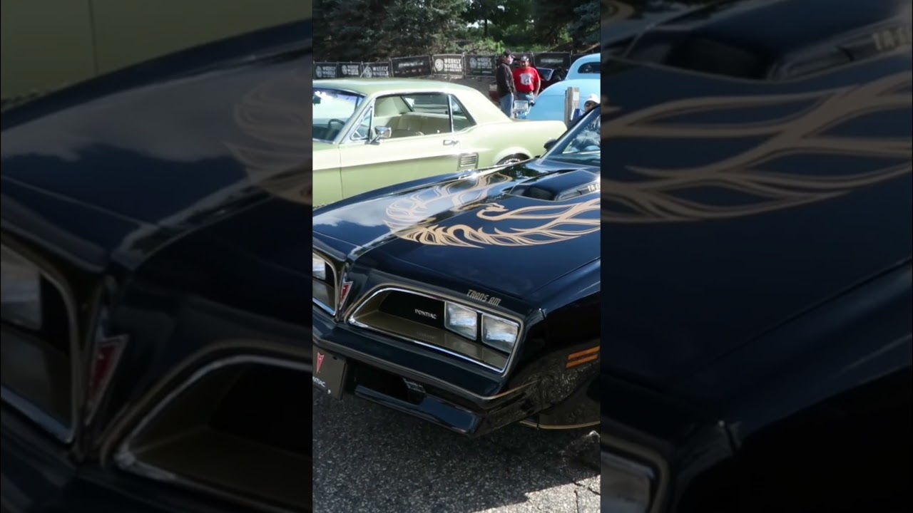 AMAZING CLASSIC CARS AND TRUCKS 
