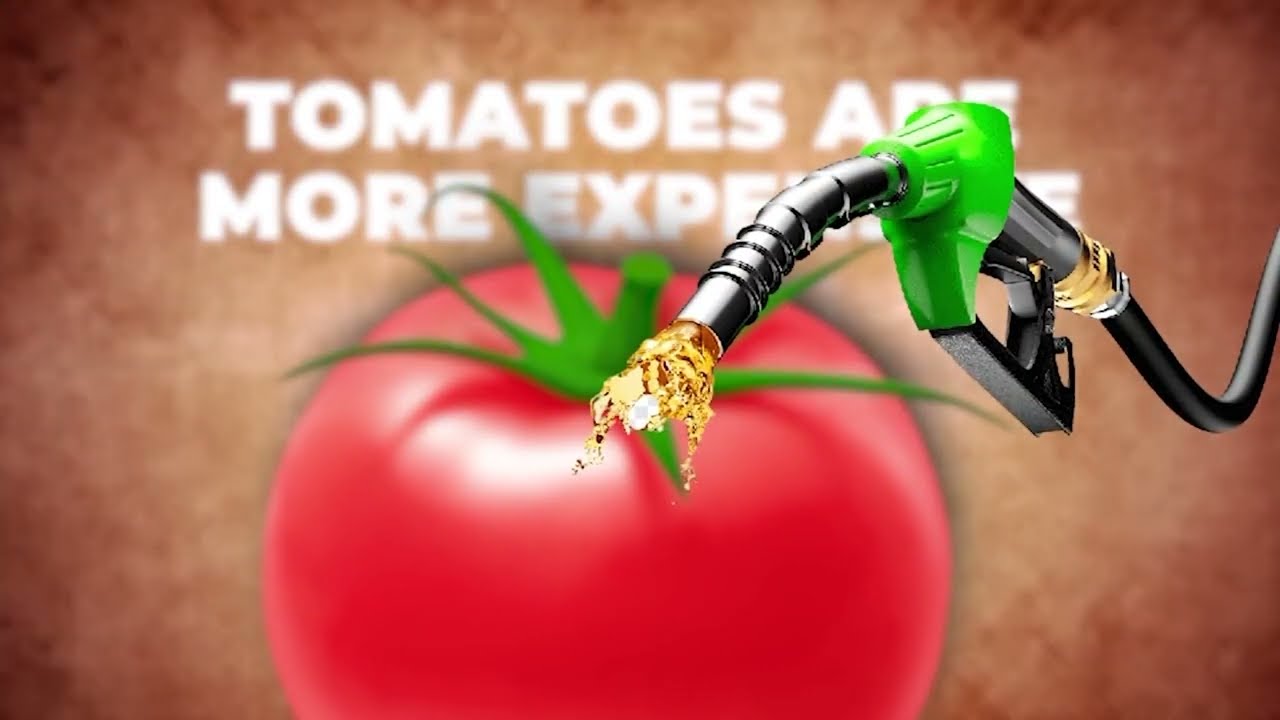 Tomato price hike in India - Can you invest in Agriculture