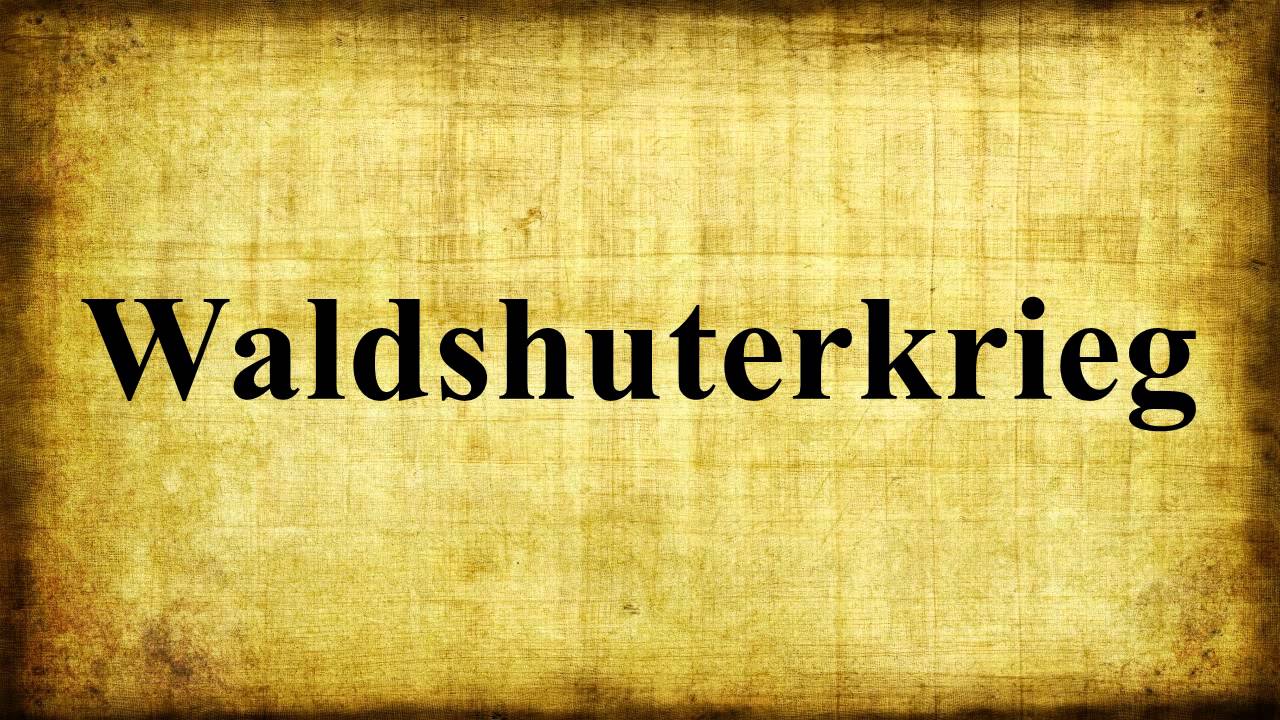 Waldshuterkrieg