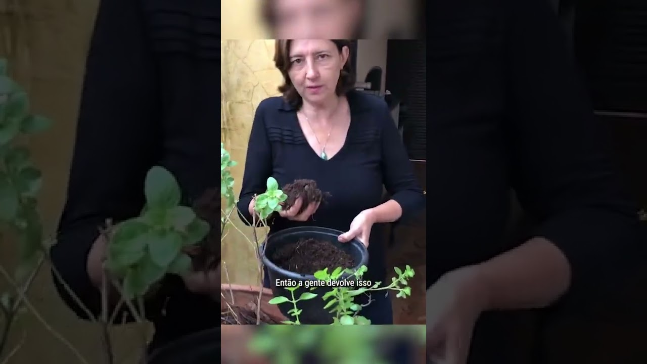 ADUBA&Ccedil;&Atilde;O NA MEDIDA - Horta em Casa | Marcia Chiad