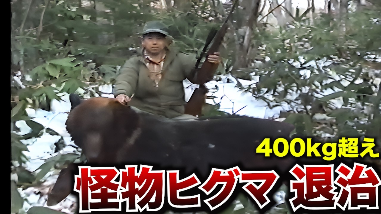【閲覧注意】400kg越えの怪物ヒグマ、実猟の世界