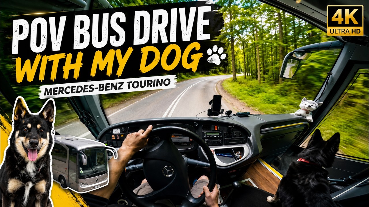 POV Bus Drive with My Dog | Mercedes Tourino | Horní Bečva – Pustevny | 4K GoPro Ride