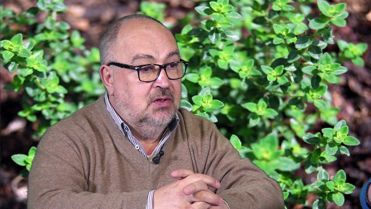 Ecologia e Territorio -  Piante Selvatiche