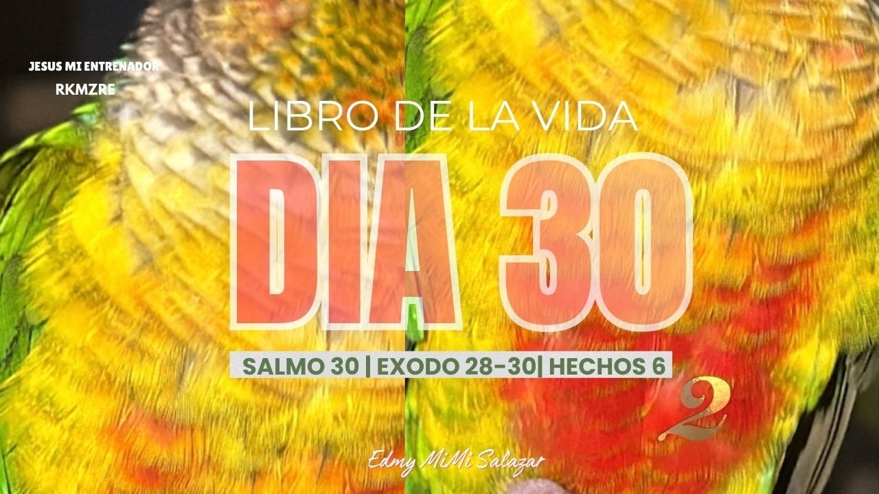 Día 30 | Salmo 30 · Éxodo 28–29 · Hechos 6 | El Libro de la Vida 365 Días