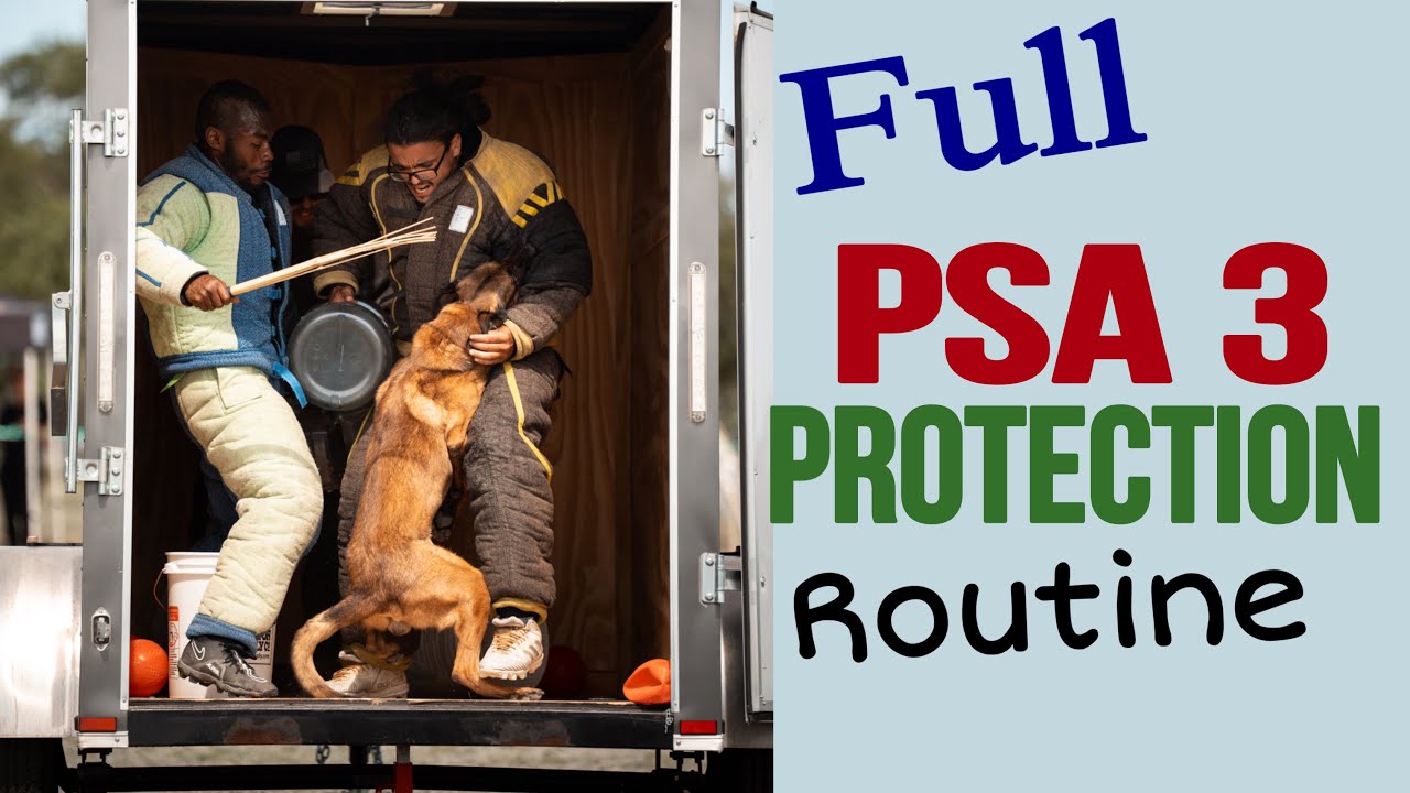 Full PSA 3 Protection Routine