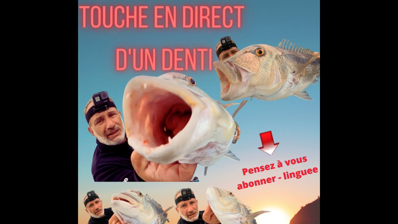 Touche en direct d'un denti pêché au calamar en dérive à Carry le rouet et Marseille, sondeur TZT3