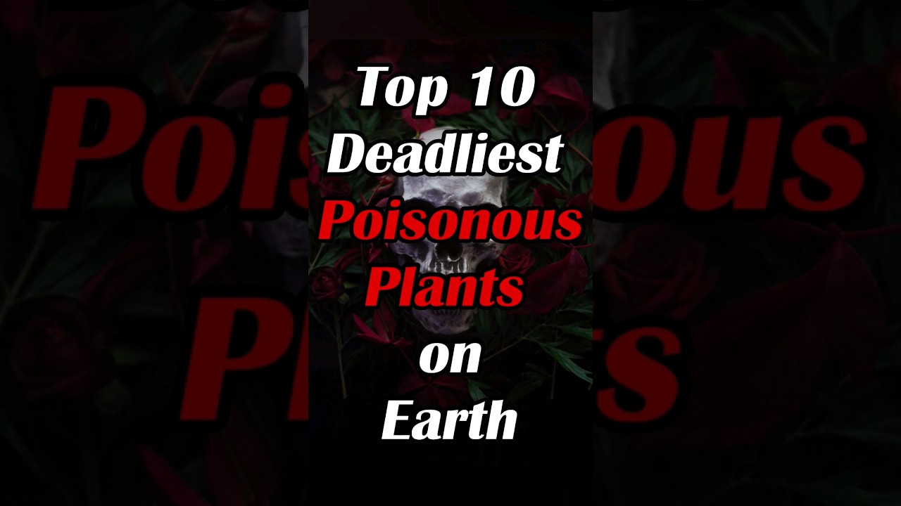 Top 10 Poisonous Plants on Earth | #shorts #viral
