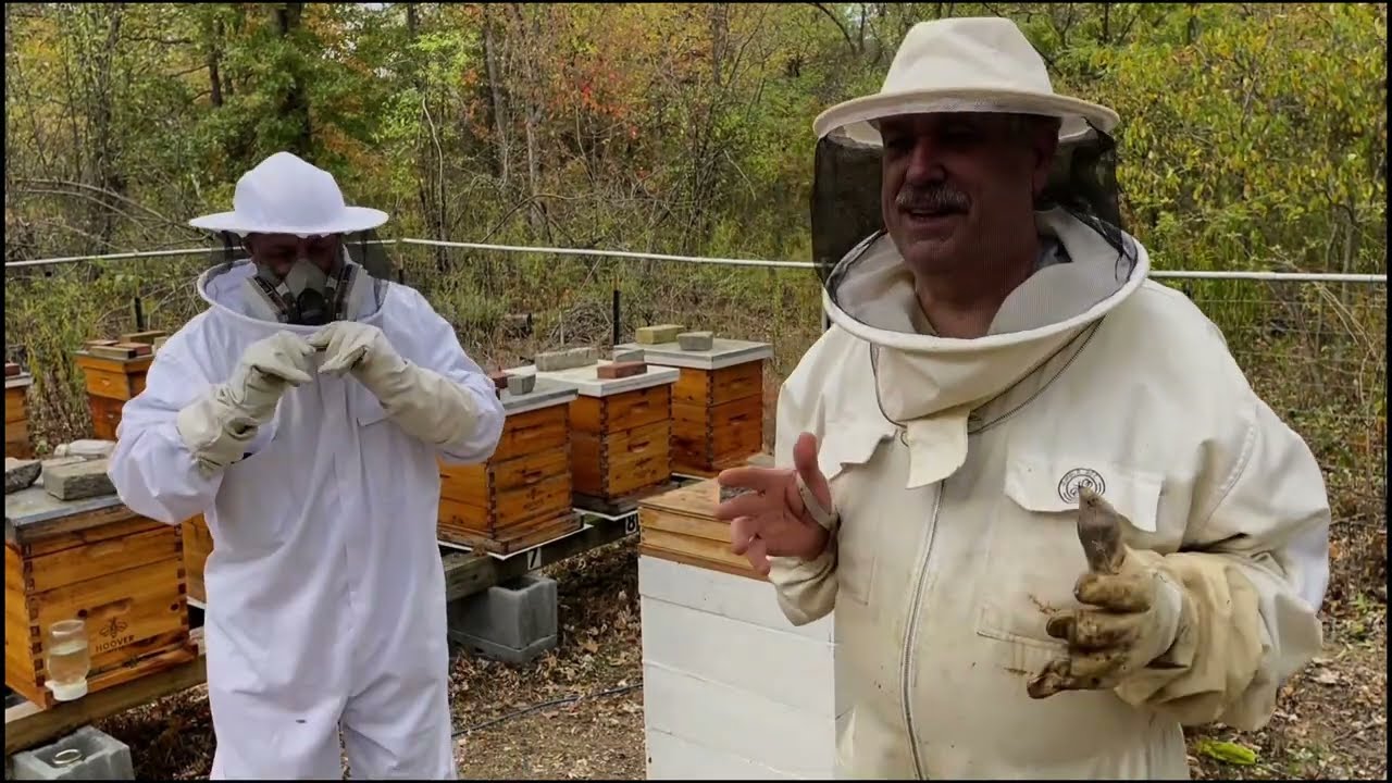 Episode #207 - Cooking up Sugar Cake and Switching the Bees to Dry Feed