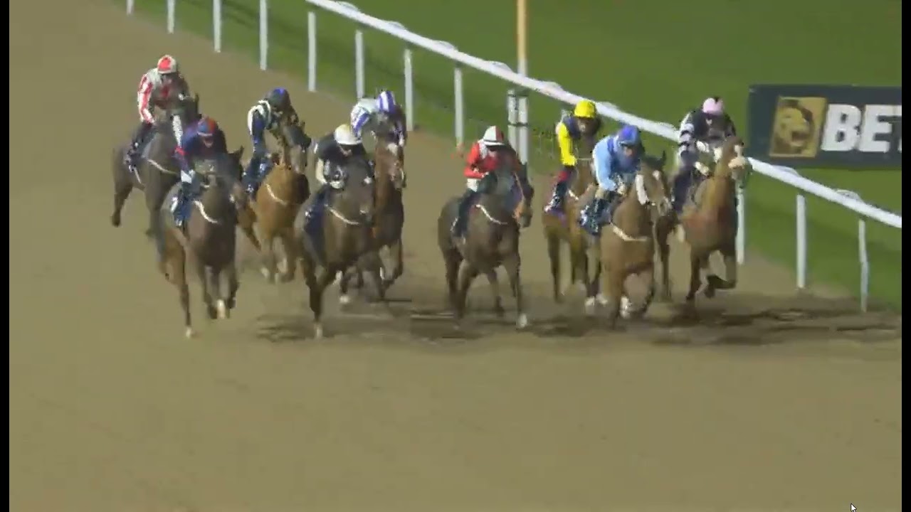 RACE NO -08  Wolverhampton 23 Feb 2026