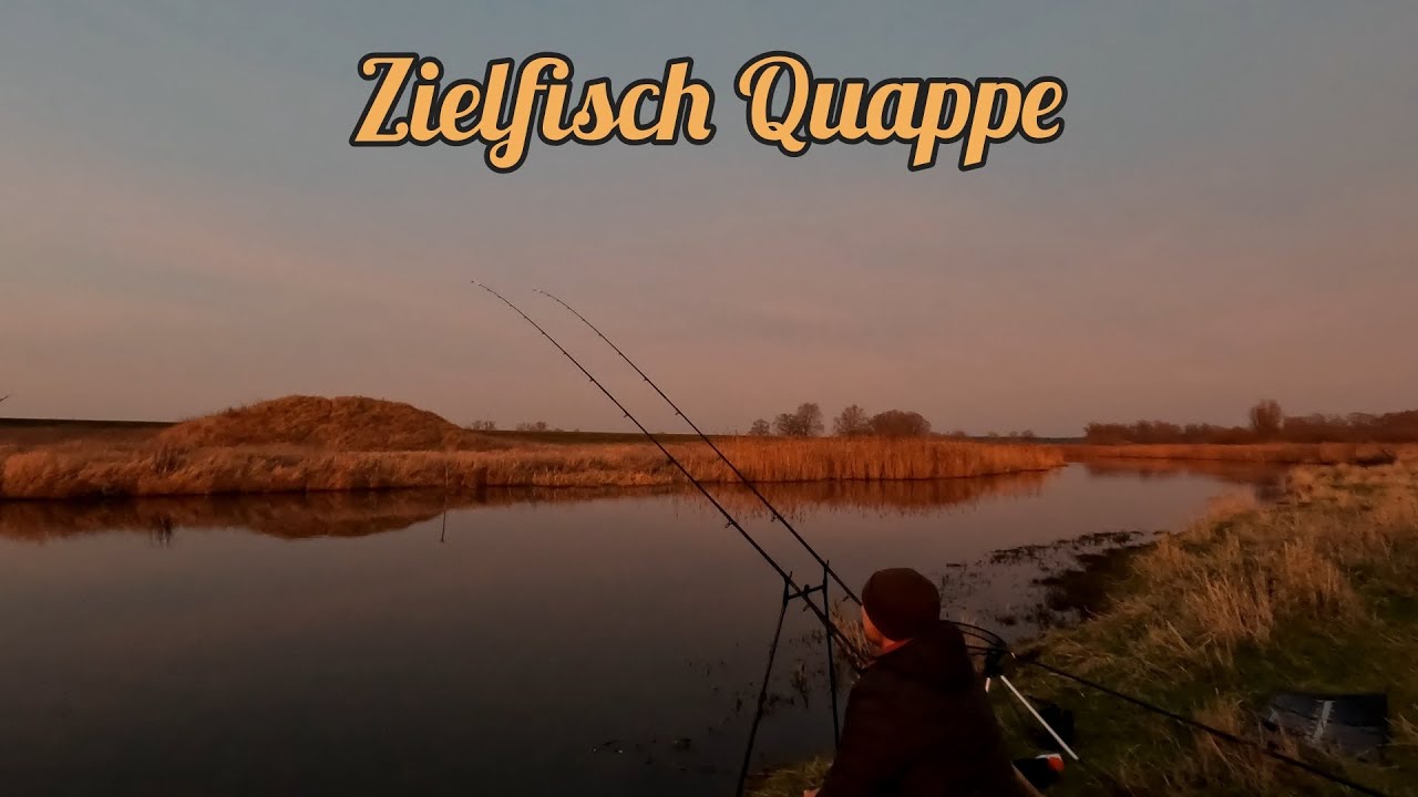 Am Fluss auf Quappen und Co mit Tauwurm, Maden und Fischfetzen 
