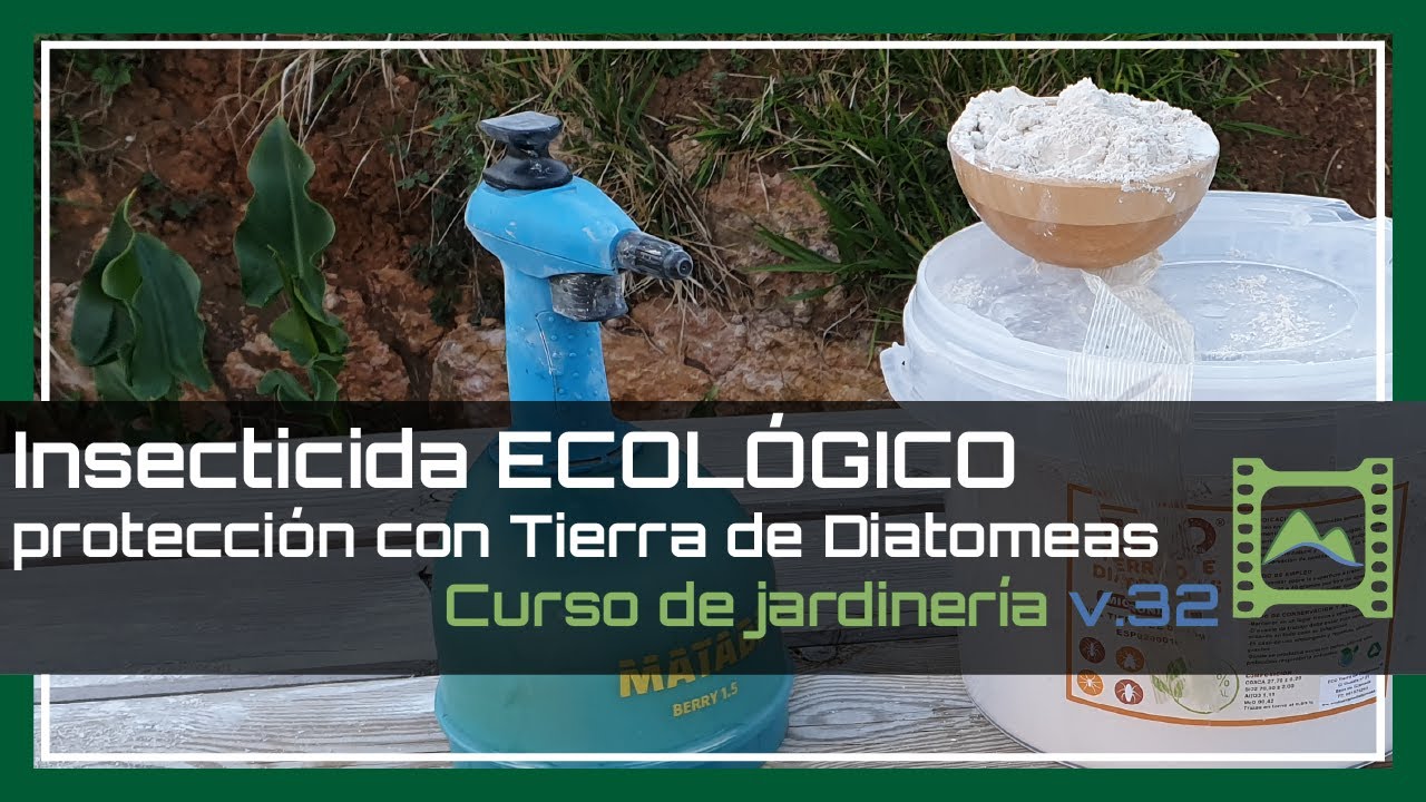Insecticida ECOLÓGICO 💚 con TIERRA de DIATOMEAS Capítulo 32 - Curso básico de Jardinería 2020 | LdN
