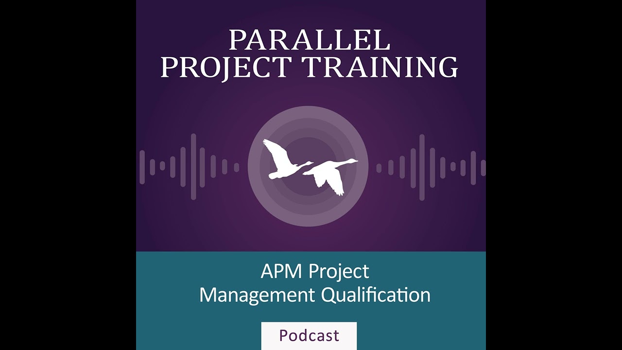 APM PMQ (2024) Risk and Issue Management (LO23)