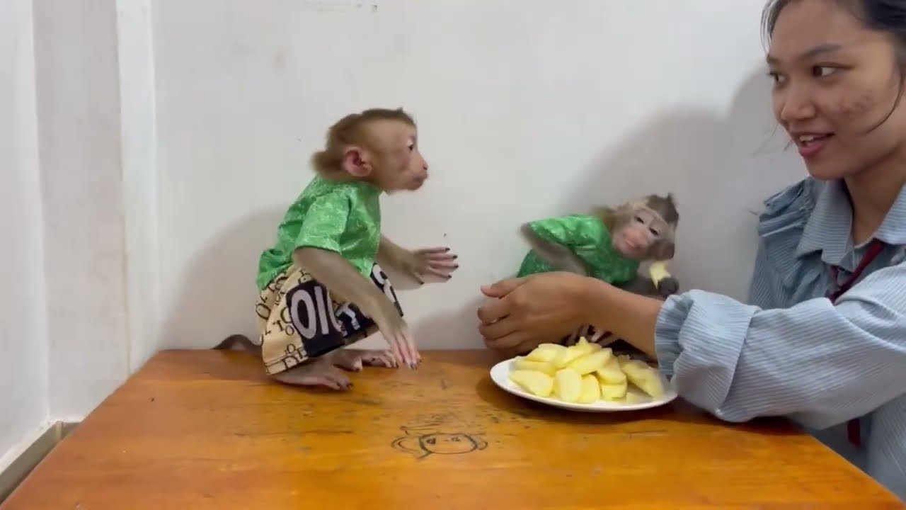 [ Omq..] Jasmine sc..eam to wrniiinq Koy that join to eat her lunch 