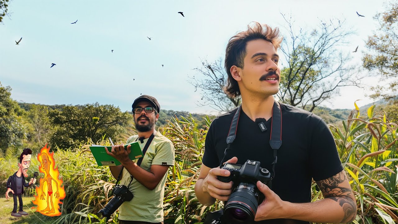 Birdwatching vai desacelerar sua ansiedade (+ Balança-Rabo-Leitoso)