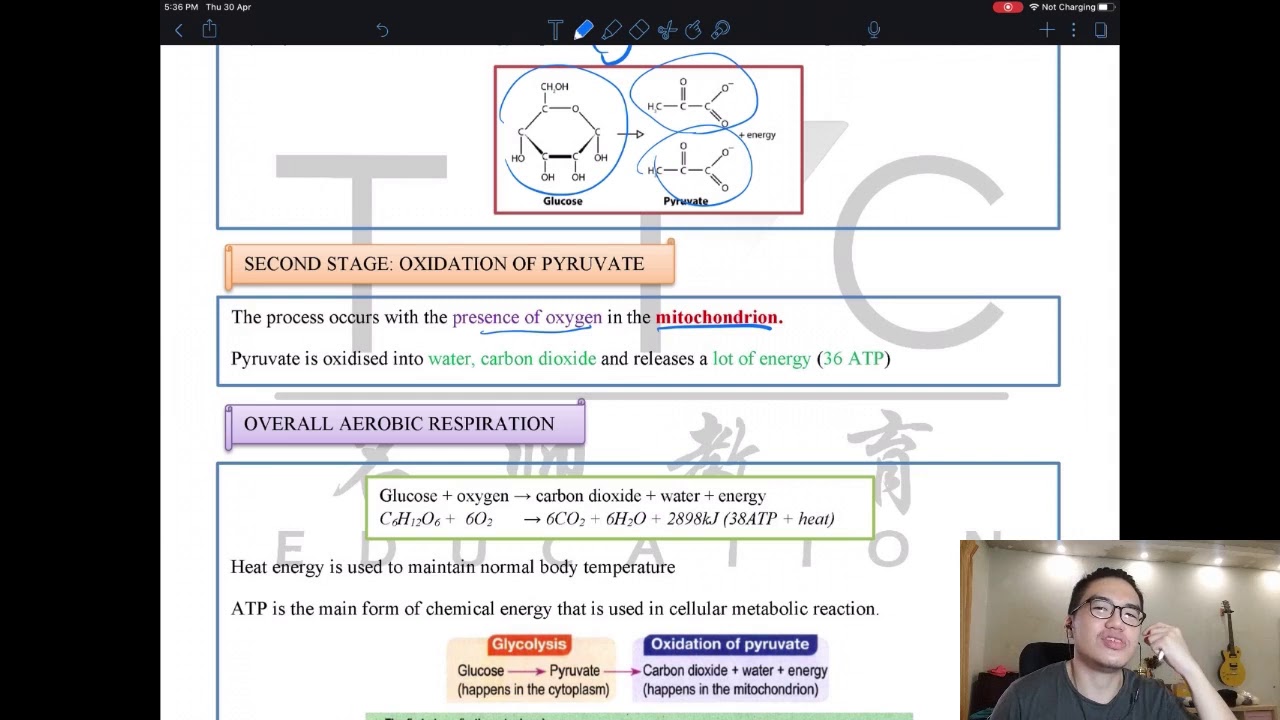 Biology Form 4 Chapter 7 (May week 1)
