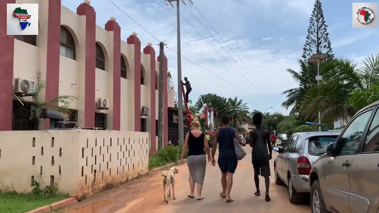 Мангровые заросли Гамбии 🇬🇲 2025 Западная Африка 🌍