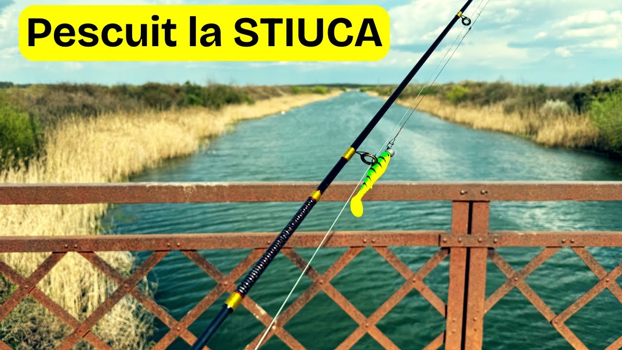 Pescuit la Stiuca dupa Prohibitie!