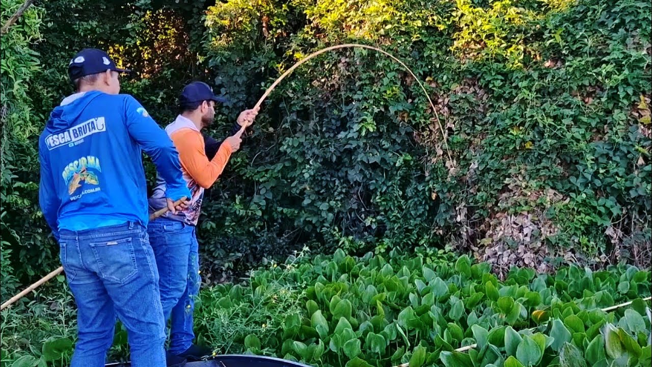 NÃO ACREDITEI QUANDO VI O TAMANHO DO PEIXE , PESCARIA RAIZ NOS AGUAPÉS DO RIO PARANÁ./PESCA CAIPIRA.