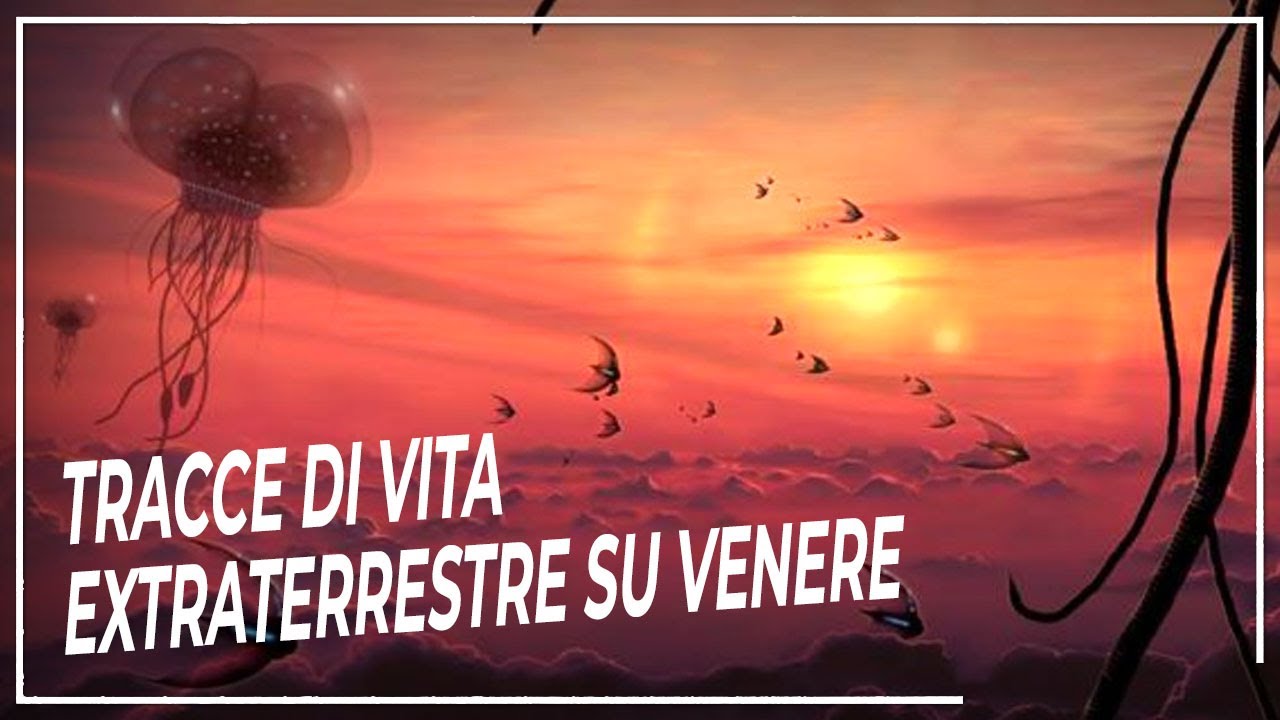 Vita oltre: Misteriose Tracce di Vita Extraterrestre su Venere | DOCUMENTARIO Spazio