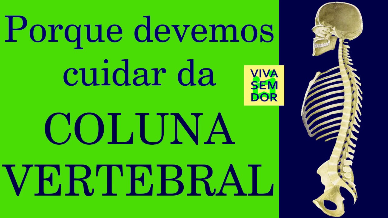 Porque devemos cuidar da coluna vertebral