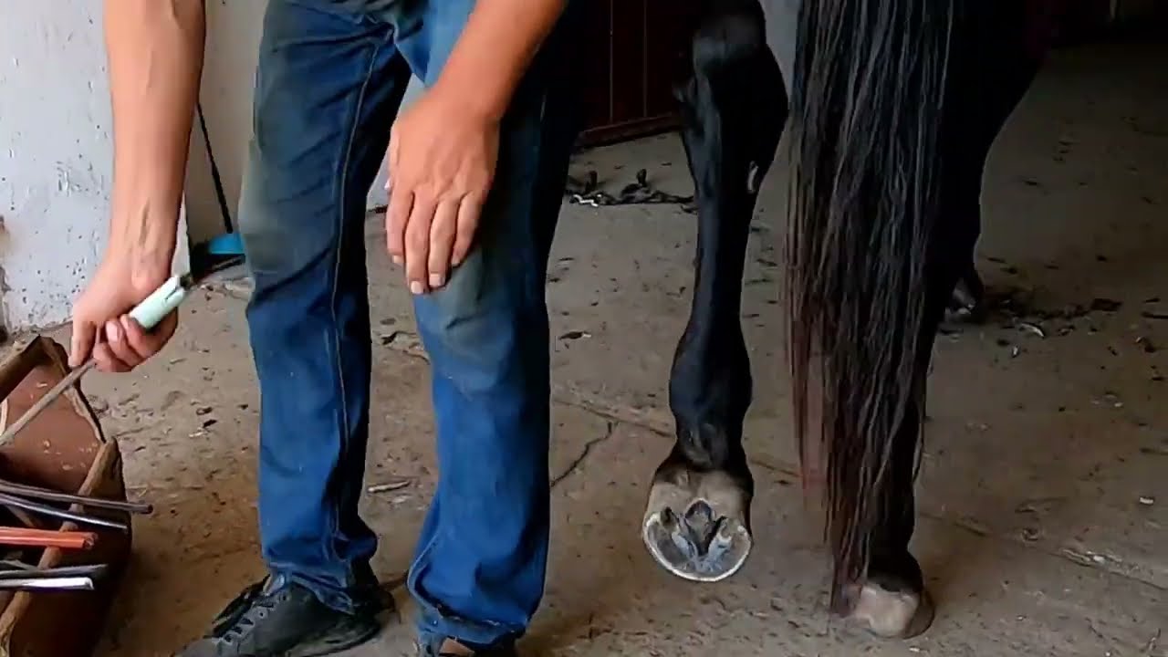 Dirty Hooves No More: The Secret Cleaning Method Exposed! 🐴🚿