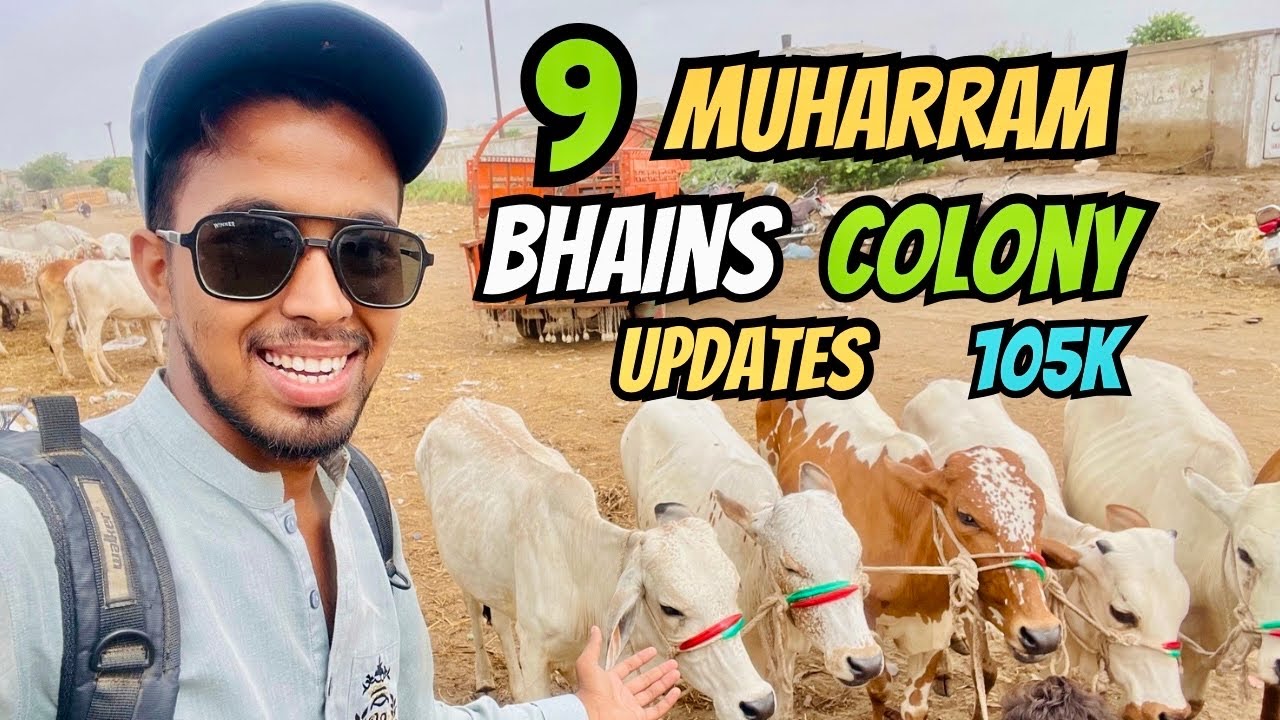 9 Muharram Ko Bhains Colony Mandi Mein Qeemat Mein Bari Kami | Cow Mandi 2025 Update @R4Rafay