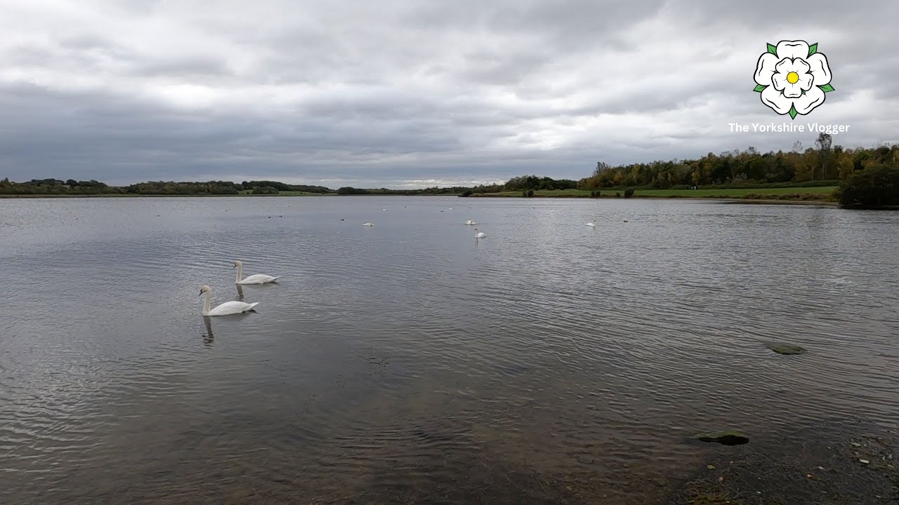 ANGLERS COUNTRY PARK. Wakefield. West Yorkshire. England (Vlog #10)
